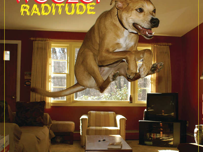 Raditude (International Version)