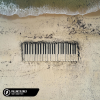 Falling Slowly (Single)
