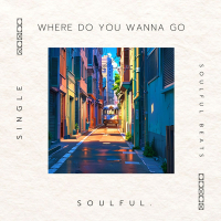 Where Do You Wanna Go (Single)