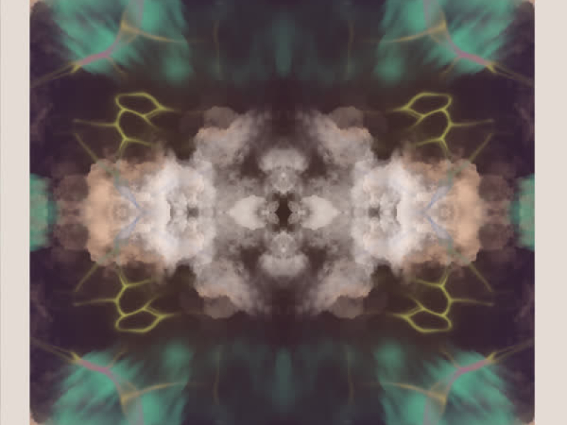 Random Selection (Single)