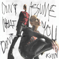 Don't Assume What You Don't Know (Single)