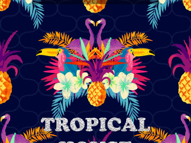 Electroscene Tropical House