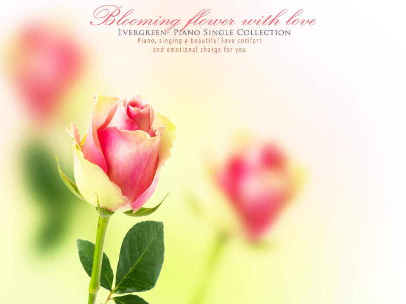 Flowers blooming with love (Single)