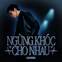 Ngừng Khóc Cho Nhau (Single)