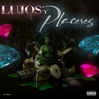 Lujos Y Placeres (Single)