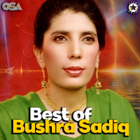 Best Of Bushra Sadiq