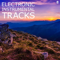 Electronic Instrumental Tracks (Single)
