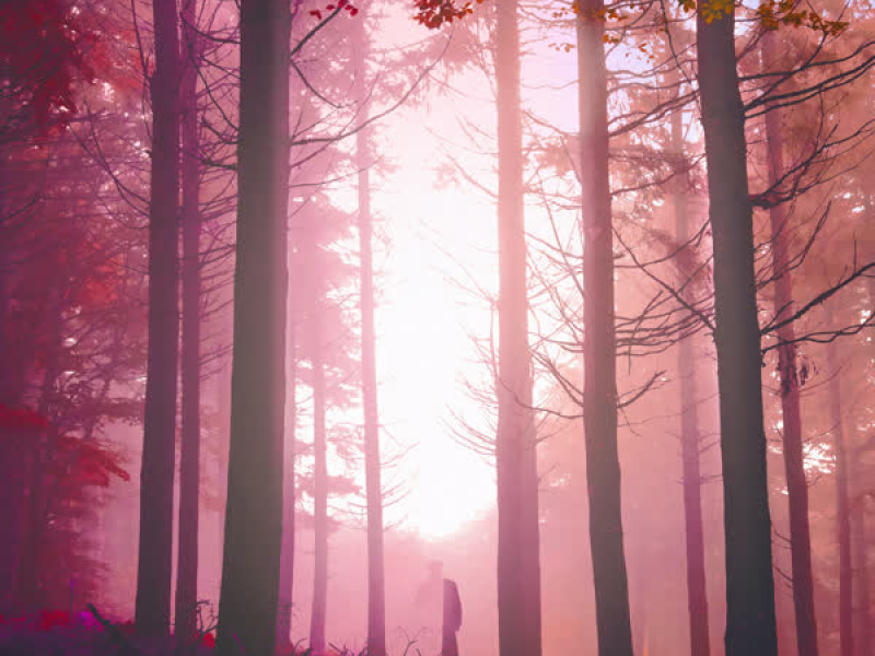 Whatever You Like (Vip Edit) (EP)