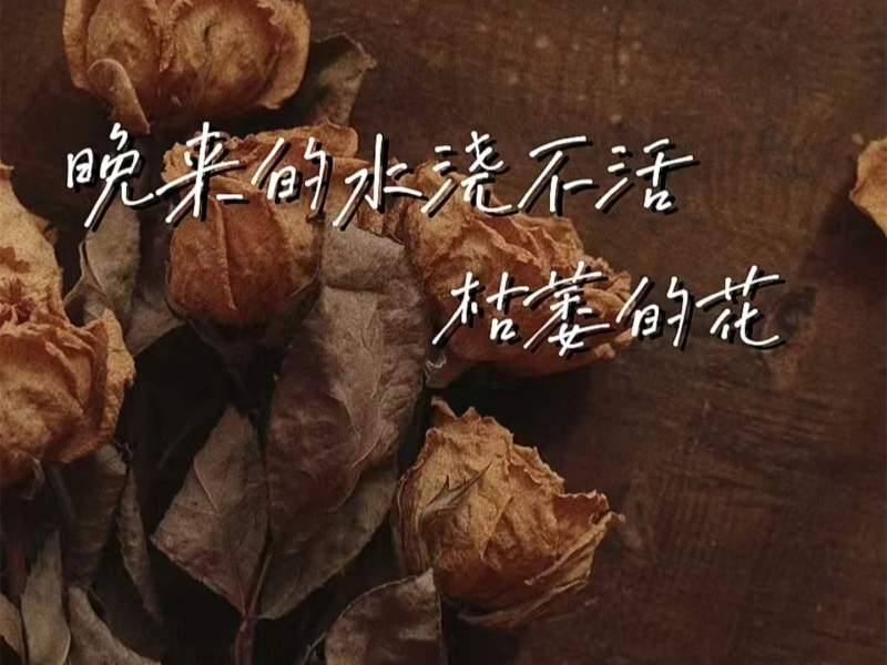 晚来的水浇不活枯萎的花 (Single)