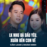 LK Như Đã Dấu Yêu, Xuân Đến Con Về (Single)
