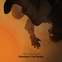 Dancing In The Flames (Live from São Paulo) (Single)