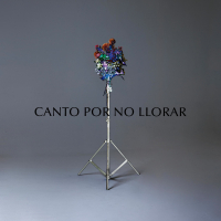 Canto por No Llorar (Single)