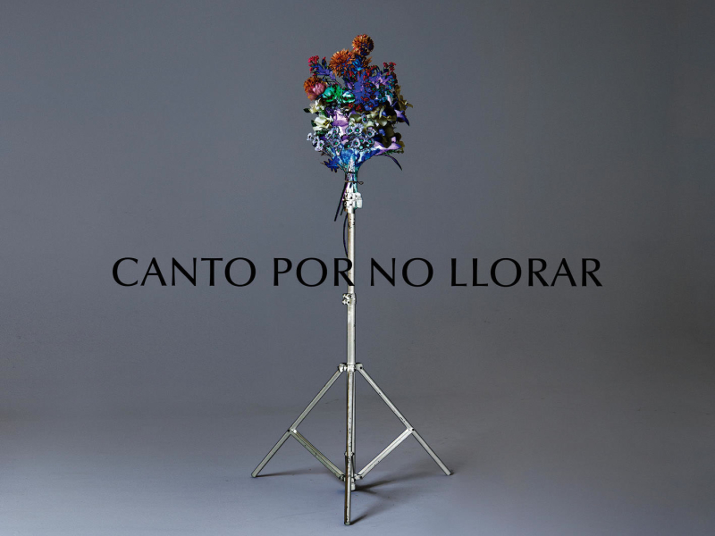 Canto por No Llorar (Single)