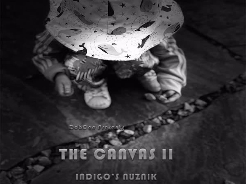 The Canvas II: Indigo's Nuznik