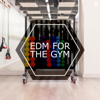 EDM For The Gym (Single)