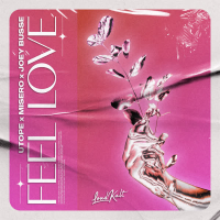 Feel Love (Single)