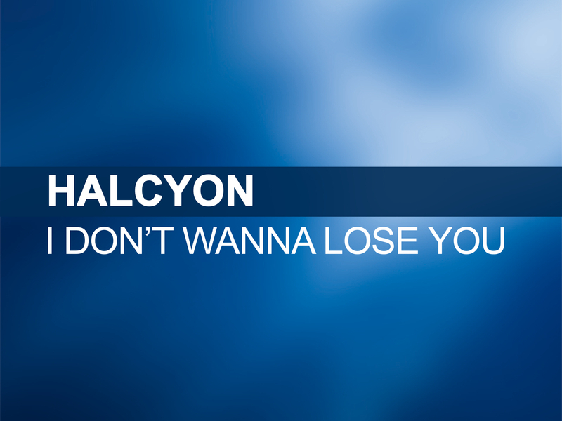 I Don't Wanna Lose You