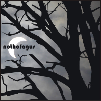 Nothofagus (Single)