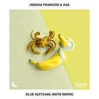 Blue Suitcase (Ngyn Remix) (Single)