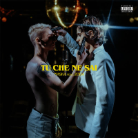Tu che ne sai (Single)
