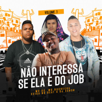 Não Interessa Se Ela é Do Job (Single)