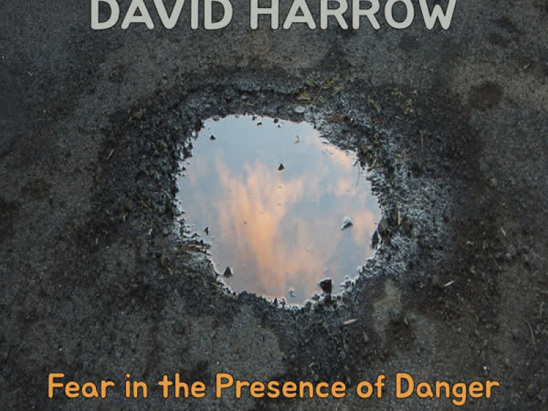 Fear in the Presence of Danger