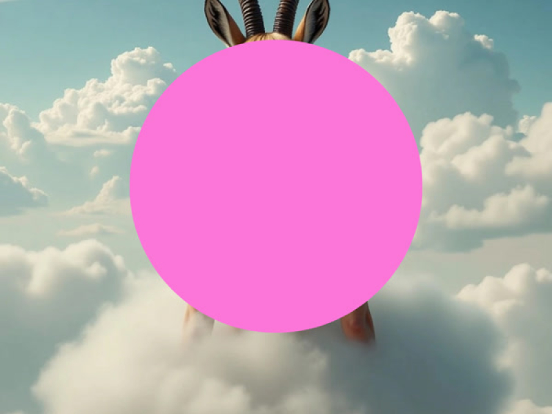 Reclamaing Doll (Single)