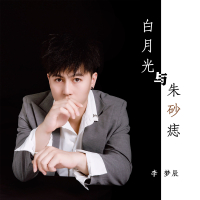 白月光与朱砂痣 (Single)