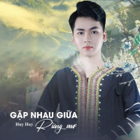 Gặp Nhau Giữa Rừng Mơ (Single)