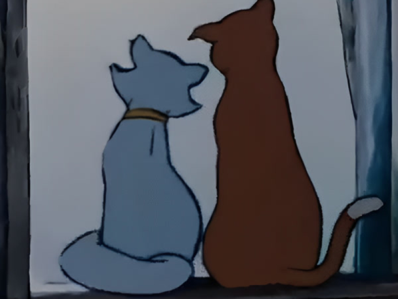 Minha Amada Gata (Single)