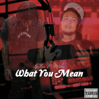 What You Mean (Single)