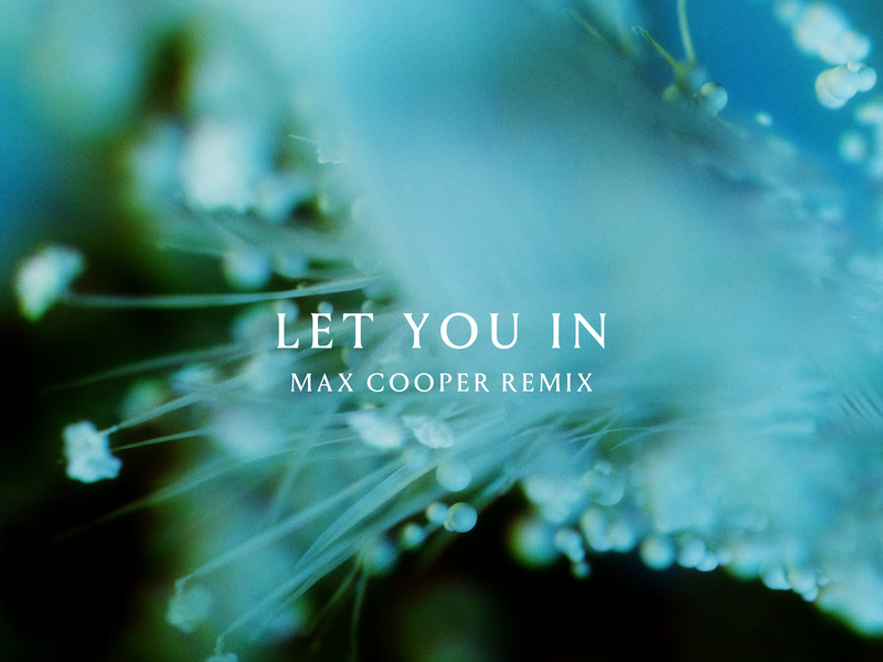 Let You In (Max Cooper Remix) (Single)