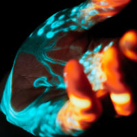 Been There Before (Single)