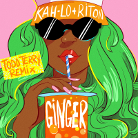 Ginger (Todd Terry Remix) (Single)