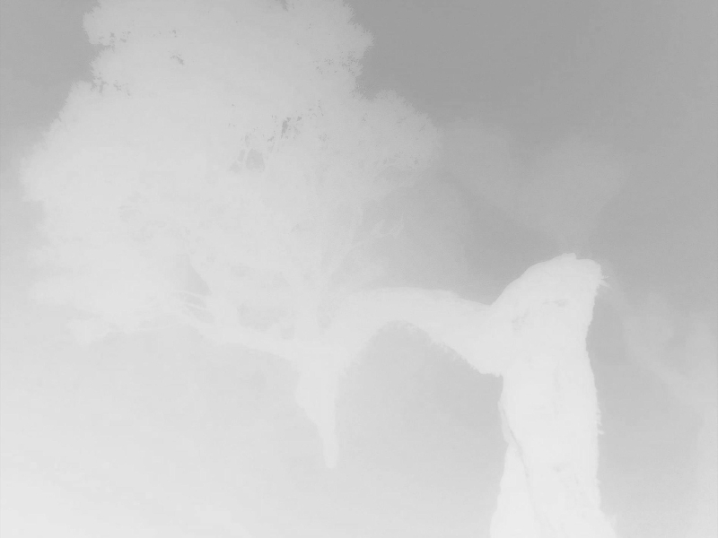 gone tomorrow (reversed) (Single)