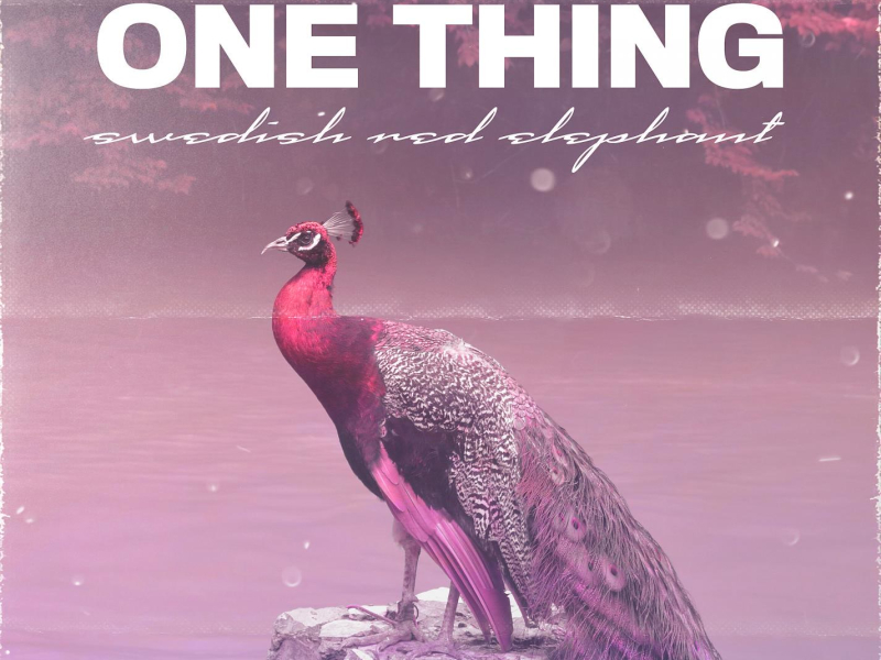 One Thing (Single)