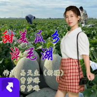 甜美瓜乡淖毛湖 (EP)