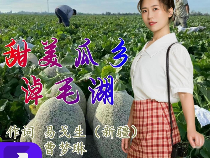 甜美瓜乡淖毛湖 (EP)