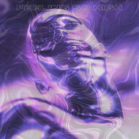 Feeling so high (Single)