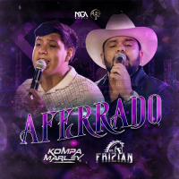 Aferrado (Single)