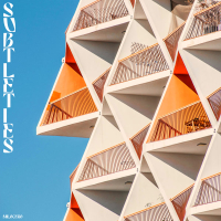 Subtleties (Single)