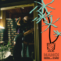 MAMO (Patryk Niedziela Edit) (Single)