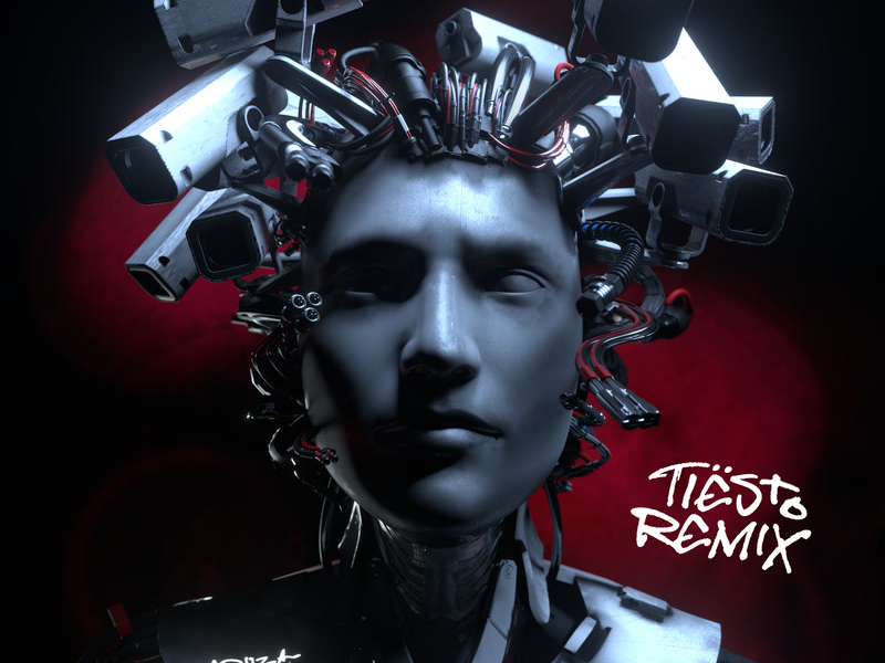 Tell It To My Heart (Tiësto Remix) (Single)