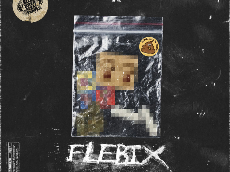 FLEBIX (Single)