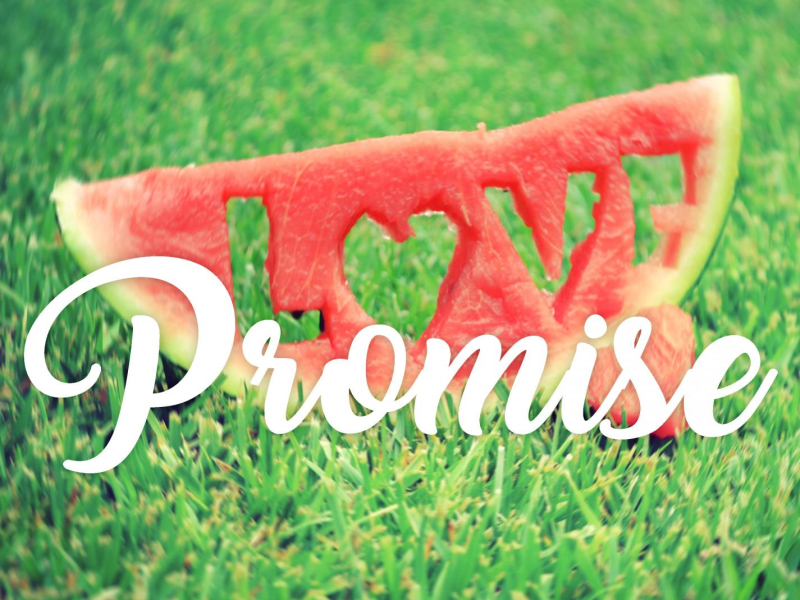 Promise (Single)