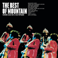 The Best Of Mountain