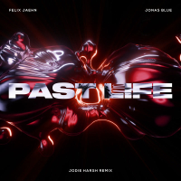 Past Life (Jodie Harsh Remix) (Single)