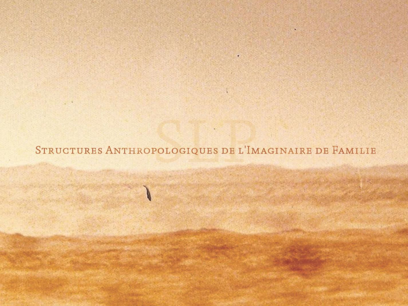 Structures Anthropologiques de l'Imaginaire de Famille (Single)