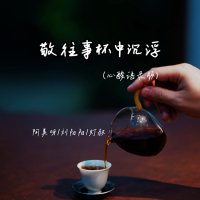 敬往事杯中沉浮 (心酸语录版) (Single)