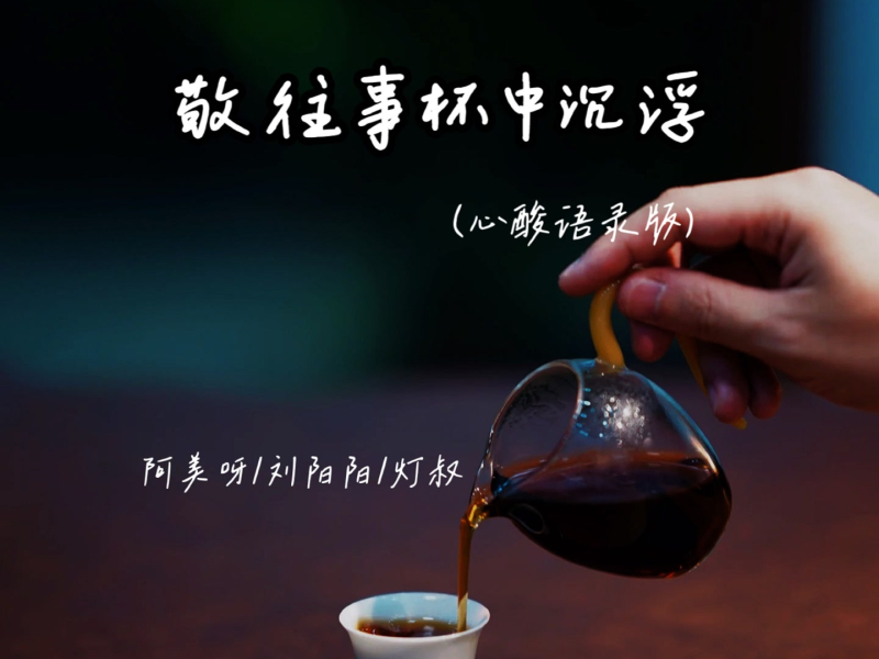 敬往事杯中沉浮 (心酸语录版) (Single)